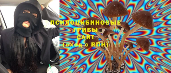 гашик Тутаев