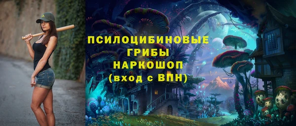гашик Тутаев