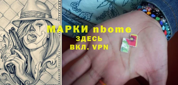 гашик Тутаев