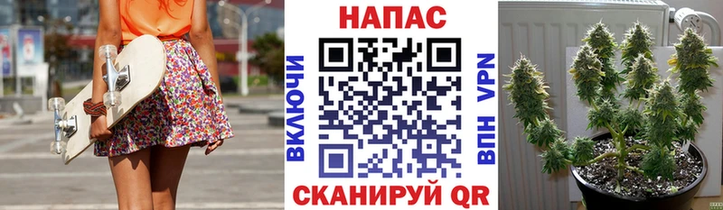 Бошки марихуана MAZAR Петушки